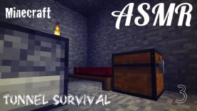 Asmr Minecraft Whispers Interior Decorating Tunnel
