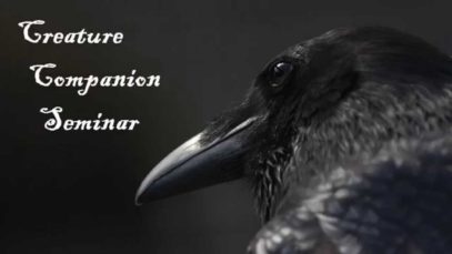 ASMR Creature Companion Seminar (Wicked Wisdom Day#8)