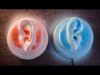 ✨ ASMR ?? | Fizzing Bath Bombs in your Ears (No Talking)
