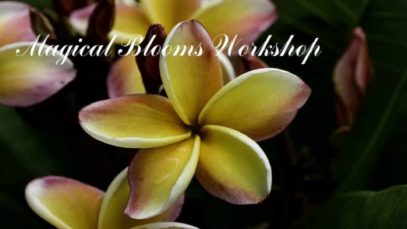 ASMR Magical Blooms Workshop (Wicked Wisdom Day#4)
