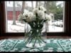ASMR (Softly Spoken) Creating a Flower Arrangement
