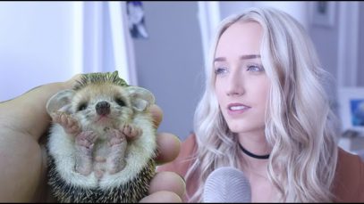 ASMR Tapping A 3D Printed Hedgehog! | GwenGwiz
