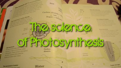 ASMR ~ The Science of Photosynthesis – Close up Binaural Ear to Ear Whisper