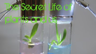 ASMR ~ The Secret Life of Plants and Us ~ Close up Facts Whisper