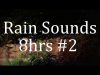 8Hrs of Real Rain Sounds II “Sleep Sounds” ASMR