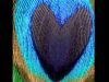 ASMR Ambience: 3 Hours of Relaxing Binaural Heartbeat And Breathing Sounds To Help You Sleep