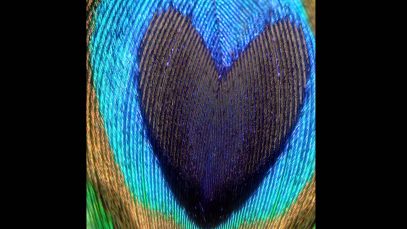 ASMR Ambience: 3 Hours of Relaxing Binaural Heartbeat And Breathing Sounds To Help You Sleep