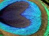 ASMR Ambience: 3 Hours Of Relaxing Heartbeat And Breathing Sounds For Left Side Sleepers