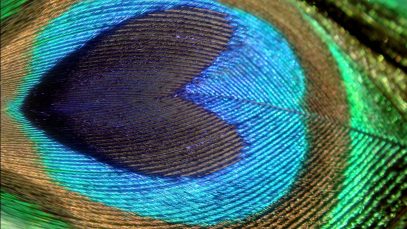 ASMR Ambience: 3 Hours Of Relaxing Heartbeat And Breathing Sounds For Left Side Sleepers