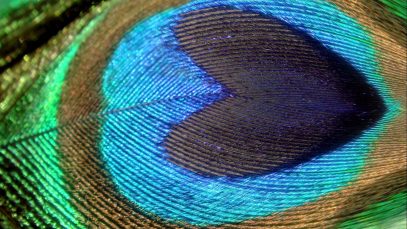 ASMR Ambience: 3 Hours of Relaxing Heartbeat And Breathing Sounds For Right Side Sleepers