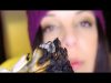 ASMR Binaural Tingle Blitz:  Sage Stick aka Smudge Stick Crackling and Soft Speaking For Relaxation
