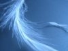 Binaural ASMR: Ear to Ear Whispering Interesting Facts For Relaxation, Sleep, and Tingles