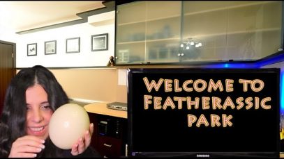 Binaural ASMR Museum Role Play: Natural History and Science
