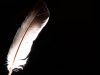 Binaural ASMR Sound Slice: Softly Touching Plastic Wrap Around Your Ears