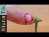 Charlie bit my finger!!  – Kluna Tik Dinner #17 | ASMR eating sounds no talk