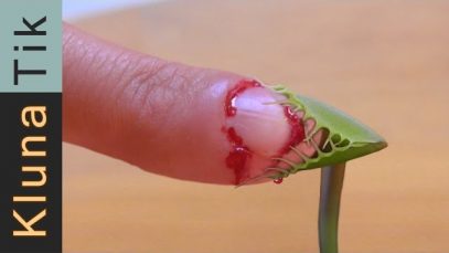 Charlie bit my finger!!  – Kluna Tik Dinner #17 | ASMR eating sounds no talk