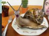Eating a GIANT SNAIL and CACTUS  |#22 KLUNATIK COMPILATION    ASMR eating sounds no talk