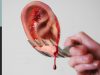 Eating HUMAN FLESH & ORGANS  |#12 KLUNATIK COMPILATION ASMR eating sounds no talk