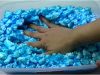 How To Make Crunchy chewed up Bubbly slime | ASMR Slime