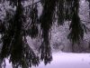 Ice Ice Baby:  Binaural ASMR Snow and Ice Sounds.