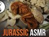 JURASSIC ASMR – Whispered Scientist Role Play – EXCAVATION TINGLES!