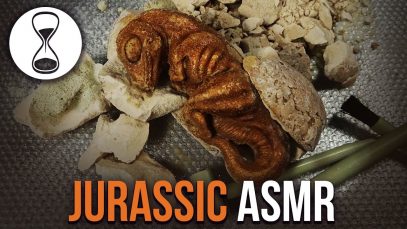 JURASSIC ASMR – Whispered Scientist Role Play – EXCAVATION TINGLES!