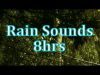 “Rain” 8 hours of “Rain Sounds”    “Sleep Sounds” ASMR