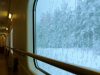 Relaxing Train Journey – 10 Hrs Video w/ Soothing Sounds for Relaxation, Meditation, Study and Sleep