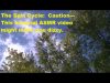 The Spin Cycle: Caution—This Binaural ASMR Video Might Make You Dizzy