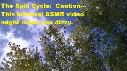 The Spin Cycle: Caution—This Binaural ASMR Video Might Make You Dizzy
