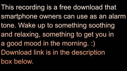 Wake up alarm tone. :)