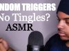 ASMR FASTEST TRIGGERS for TINGLES