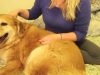 ASMR for Pets. Also. FAIL!