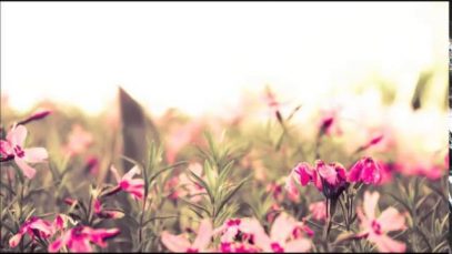 ASMR – Gentle whispering in Hebrew and English and some rambling