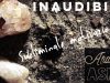 ASMR Inaudibile  * Zen garden * Suono della sabbia Rilassante * Affermazioni subliminali