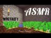 ✰★ ASMR Minecraft Whispers ★✰ – Interior Decorating – Tunnel Survival (Part 4)