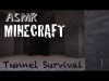 ✰★ ASMR Minecraft Whispers ★✰ – Tunnel Survival (Part 1) – Lost