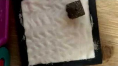ASMR MINI ZZZZZEN GARDEN