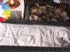 ASMR | Taking you into a zen dry garden