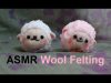 ASMR Wool Felting | Binaural Soft Spoke in English-Hebrew