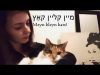 ASMR Yiddish ייִדיש ft. my kitty, פֿאַר שלאָפן – brushing/whispering you to sleep