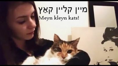 ASMR Yiddish ייִדיש ft. my kitty, פֿאַר שלאָפן – brushing/whispering you to sleep