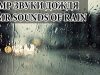 ?АСМР/ ASMR – ЗВУКИ ДОЖДЯ ?БРЫЗГИ ЗВУКИ ПРИРОДЫ ГРОМ/SOUNDS OF RAIN SPRAY SOUNDS OF NATURE THUNDER