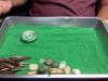 ASMR Zen Garden Camping