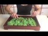 ASMR Zen Garden sounds