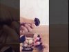 所望소망_ASMR??[Korean ASMR]?이팅사운드eating sound?달콤하게 잠들어요
