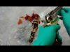 ⏩  Barbie Doll Russian Roulette ? Gun Play ASMR