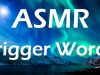 Best Trigger Words! \ ASMR Male Whisper