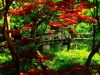 ☯ ENCHANTING ZEN GARDEN ☯ ⌠Sound⁞Ambience⁞ASMR⌡