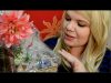 GentleWhispering sent Tingle Bites! – ASMR Food and Crinkles- Russia